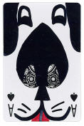 It's all in the cards - ACE