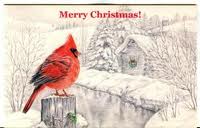 Christmas card scavenger hunt--Birds