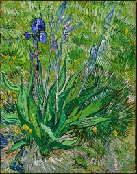 Art Postcard Swap - van Gogh