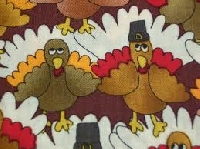 Fabric Color Swap - #20 - thanksgiving/turkey/Oran