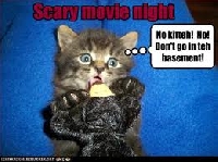 Scary-Movie Night