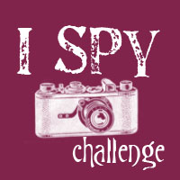 I spy...with my camera -November