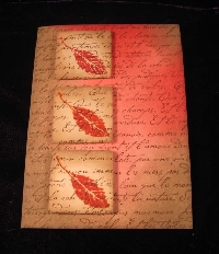 Fall ATC and a Note of Gratitude