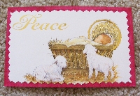 Christmas Postcard - Sheep