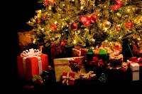 Gifts for under the tree