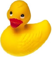 EDITED Altered Rubber Ducky Swap December INT