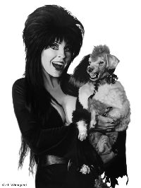 Elvira Mistress Of The Dark ATC