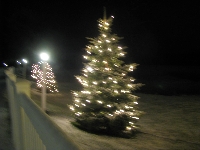 Christmas Tree/ Anywhere