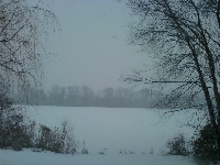 Winter Wonder Land /Snow/