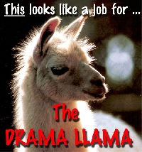 Drama Llama stuffie (plush)