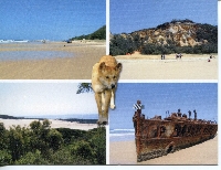 Dog postcard Swap # 3
