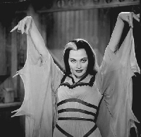 Ladies Of TV Horror: Lily Munster