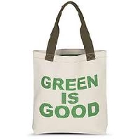 Green Tote and surprise