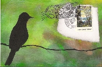 Bird Postcard 