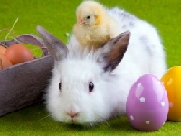 Bunnies and Chicks - UK only