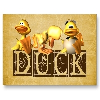 Duck Post Card 