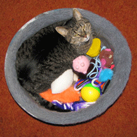 Hand-made Cat Toy Swap