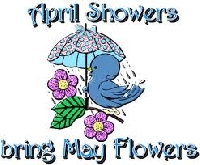APRIL SHOWERS & MAY FLOWERS!!!