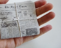JULY The World's Smallest Newspaper (micro-zine!)