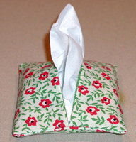 Fabric Tissue Holder