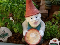 Plant a row Seed Swap and Gnome Blessing...