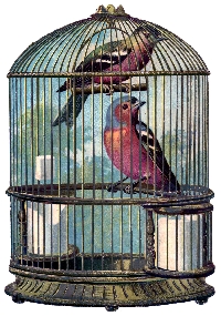 Vintage ATC w/ a Birdcage #4