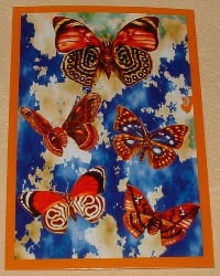 butterfly postcards