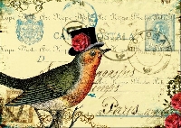 Bird Postcard Swap 