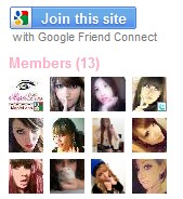 More followers on Google Friend Connect