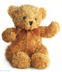 Teddy bear plush #5