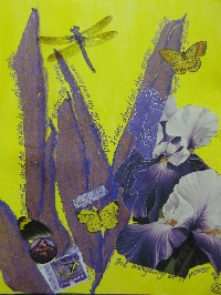 A Calendar of Flowers- Iris