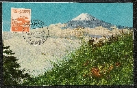 Maxicard Postcard