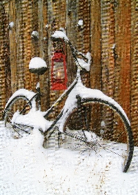 Bicycle postcard Swap