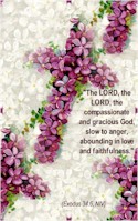 FAST Books of the Bible Verse Card - Exodus