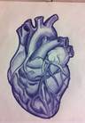 Anatomical Heart with Glitter!