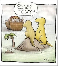 Dinosaurs ?! 