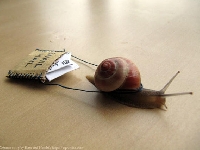 snail mail a singapore friend