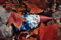 Fall Themed Gnome Swap