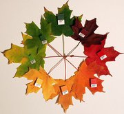 TPD: Autumn Mini Inspiration Kit