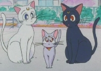 Sailor Moon ATC Series #9 - The Cats