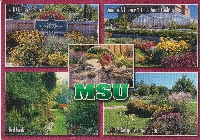 University Postcard - International