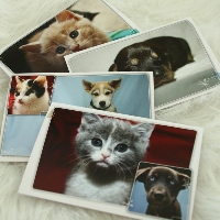 Animal Note Cards #2
