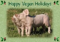 Vegan Holiday Recipe Swap + Note 