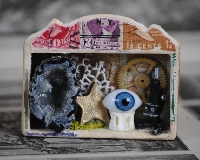 Mini Cabinet of Curiosites