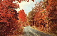 Vintage Postcards - Autumn