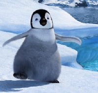 Penguin Rolo