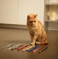 Kitty wants to be pretty - cat collar swap