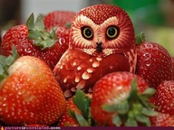 Owl Themed Pinterest E-mail Swap