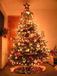 Show me your Christmas Tree!