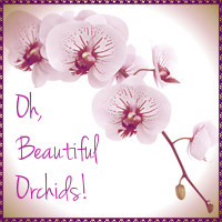 Orchid x Any Flower Postcard Swap